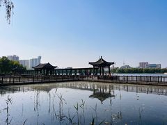 -莲花池公园