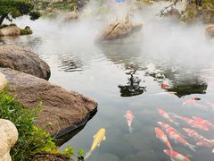 -罗红摄影艺术馆