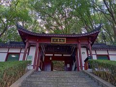 -上海佘山国家森林公园天马山园