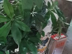 -绿茶餐厅(天津天河城店)