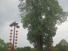 -丝绸小镇荻港古村