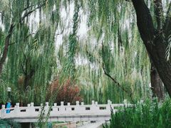 -菖蒲河公园