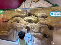 -上海昆虫博物馆