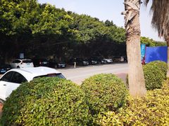 -大湾区中央湿地公园-十九涌