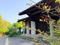 -大唐贡茶院