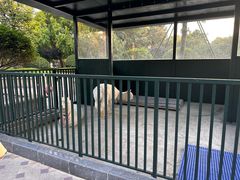 -青岛鑫江温德姆酒店