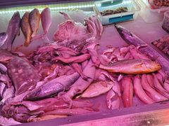 -日日香卤鹅饭店·澄海狮头鹅(澄海店)