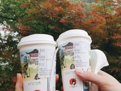 -茶颜悦色(岳麓山顶店)