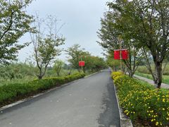 -长田漾湿地公园