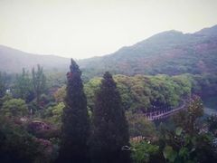 -白马涧龙池景区