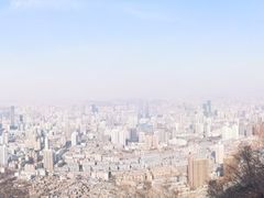 -兰山公园