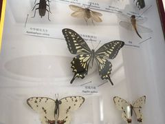 -丹世红酒庄·烧烤·团建·婚礼·水上运动
