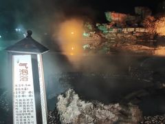 -金孔雀温泉旅游度假村