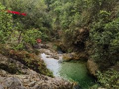 -南海湾森林生态园