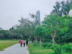 -荔枝公园(福田区)