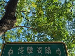 -北京第二实验小学