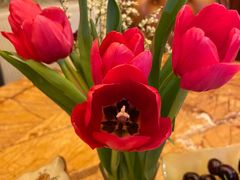 -循礼门鲜花花市(武汉循礼门店)