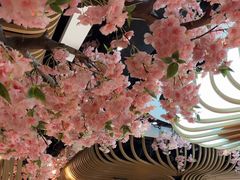 -松子料理(华威桥店)