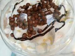 -COSTA COFFEE(常熟路店)
