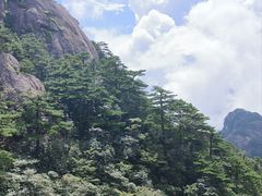 -黄山风景区