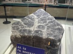 -青藏高原自然博物馆
