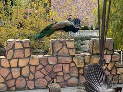 -金庭庄园酒店-停车场