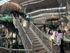 -南宫五洲植物乐园