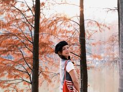-三水森林公园