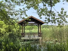 -同里国家湿地公园