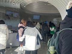 -喜茶(迪士尼小镇DP店)