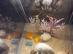-梦幻海洋王国(吾悦广场张家港店)