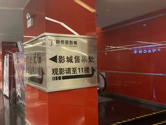 -上海金逸影城(静安大悦城店（原新恒星影城）)