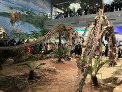 -自贡恐龙博物馆