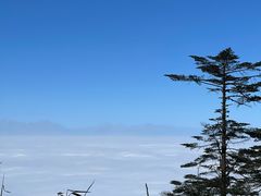 -瓦屋山景区