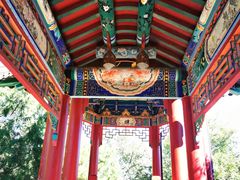-北宫国家森林公园