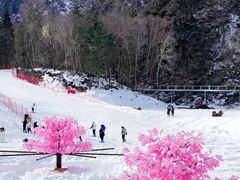 -叠溪松坪沟景区