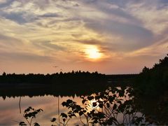 -漩门湾国家湿地公园