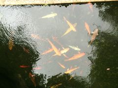 IMG_2038-上海浦东星河湾酒店
