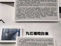 -乌镇景区