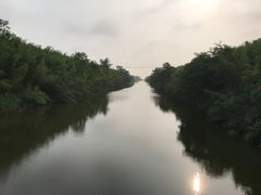 -黄海国家森林公园