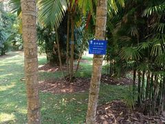 -中国科学院西双版纳热带植物园