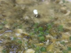 -苏启渔港(云南北路店)