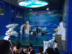 -左海海底世界