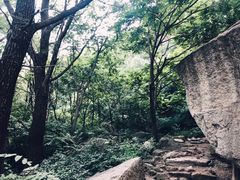 -碓臼峪自然风景区