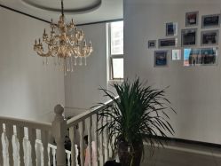 -痘博士昆明·国际祛痘领跑品牌