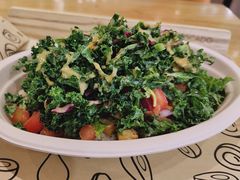 -油梨树 AVOCADO TREE(亮马桥店)