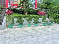 -国恩寺