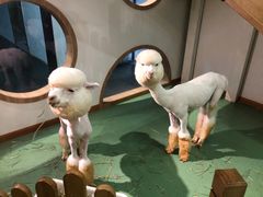 -藦茜花园宠物主题亲子互动体验馆(国顺东路店)
