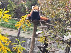 -沈阳森林动物园