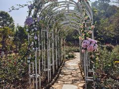 -东莞植物园